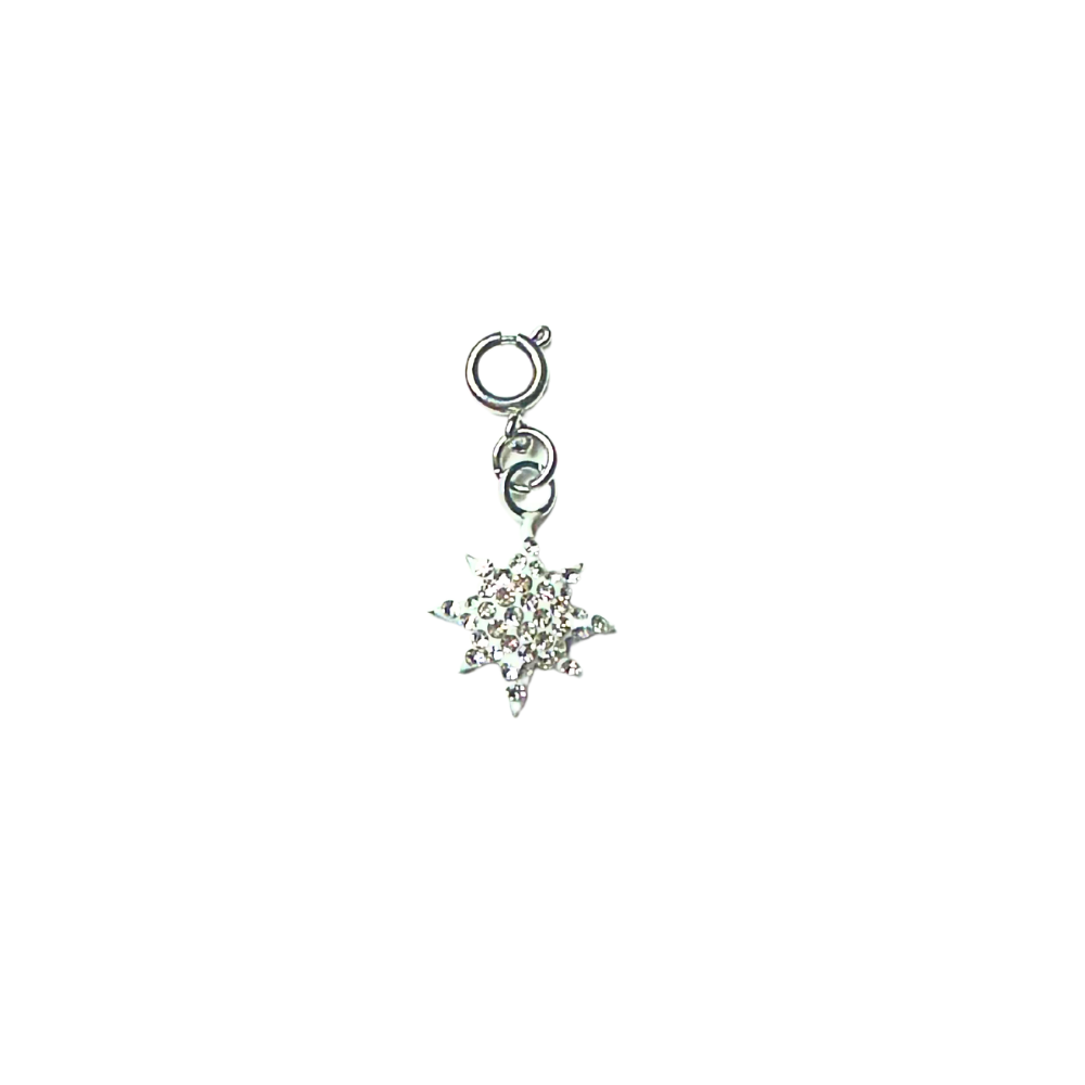 Charm Étoile Scintillante