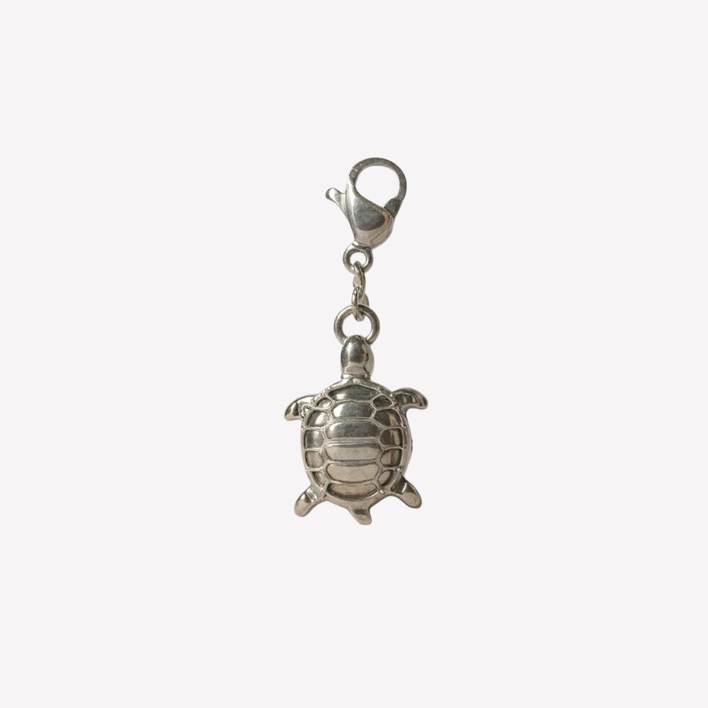 Charm Tortue Argentée | Collier Charms Personnalisé