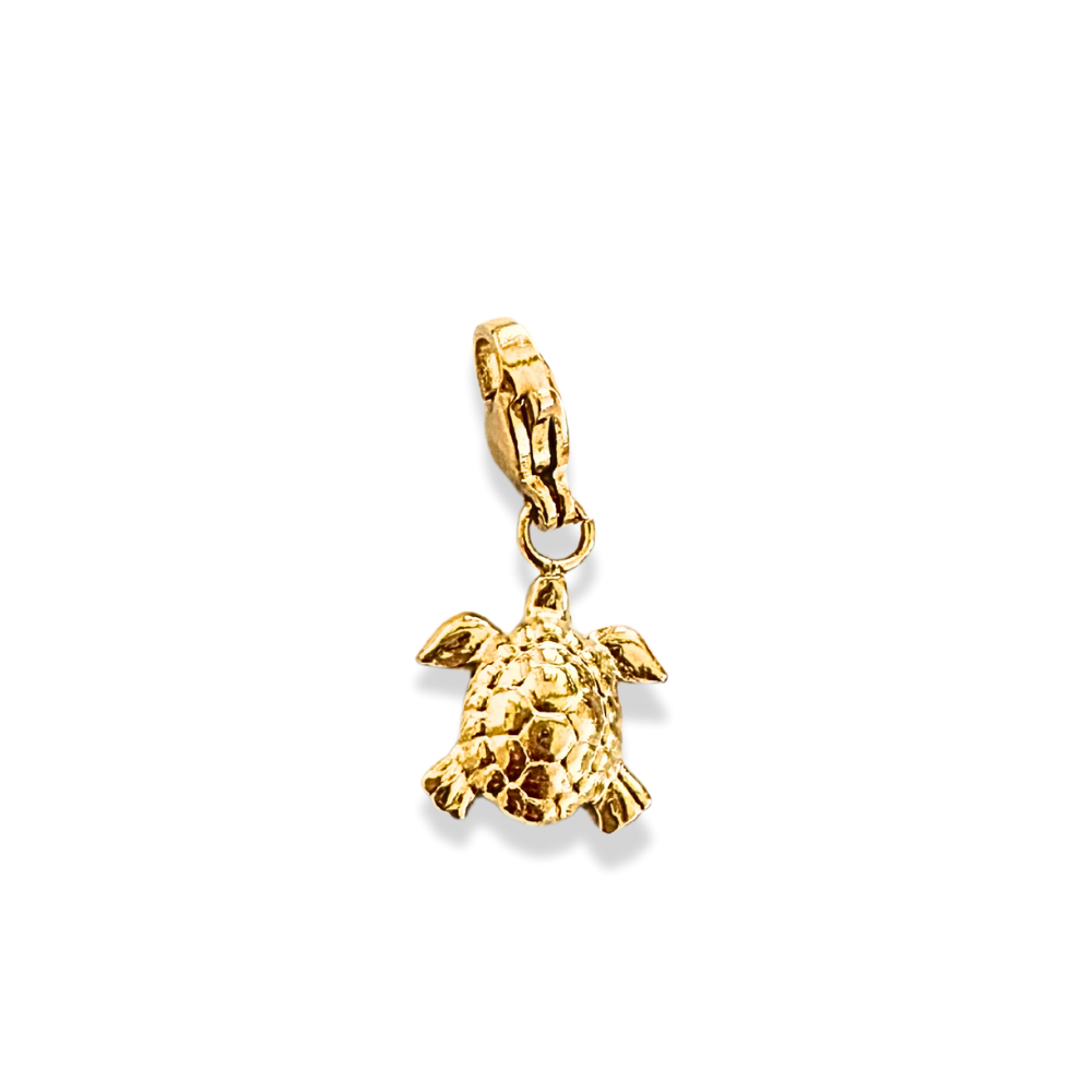 Charm Petite Tortue